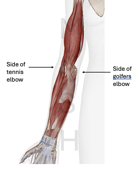 elbow pain