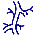 Blue branching shape with multiple offshoots resembling a tree or network structure used as an abstract diagram.